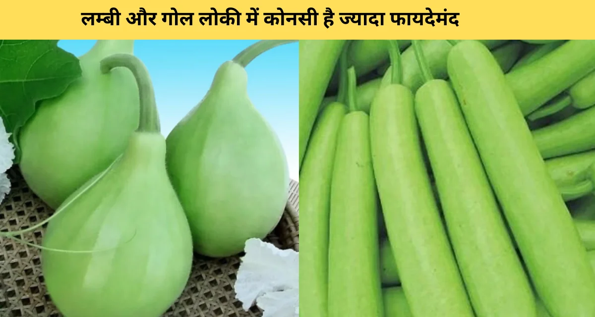 Long bottle gourd vs round bottle gourd